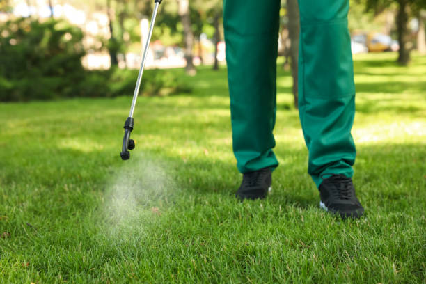 Best Emergency Pest Control  in Ball Ground, GA