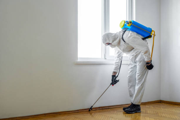 Best Affordable Pest Control Services  in Ball Ground, GA