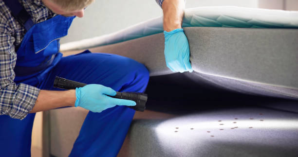 Best Ant Control Services  in Ball Ground, GA
