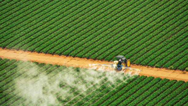 Best Commercial Pest Control Services  in Ball Ground, GA