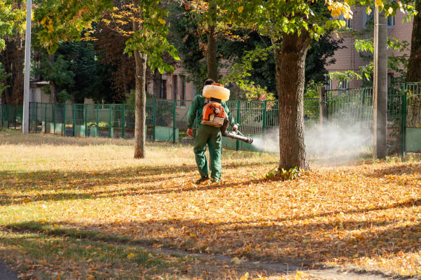 Pest Control for Restaurants in Ball Ground, GA