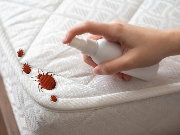 Best Residential Pest Control  in Ball Ground, GA