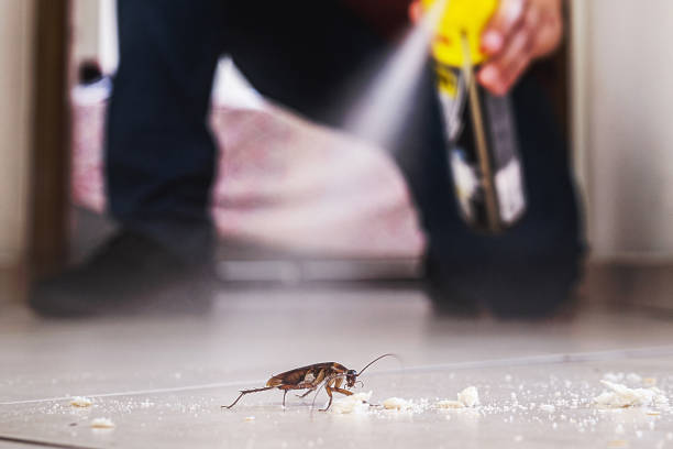 Best Pest Removal Services  in Ball Ground, GA