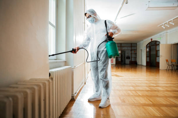 Best Bed Bug Extermination  in Ball Ground, GA
