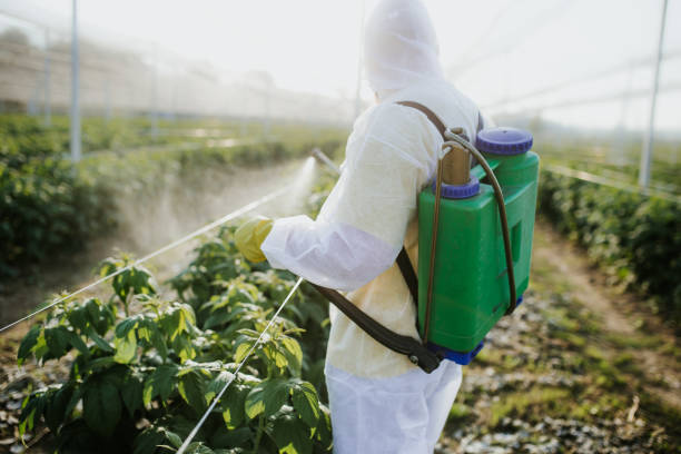 Best Wasp Removal Services  in Ball Ground, GA
